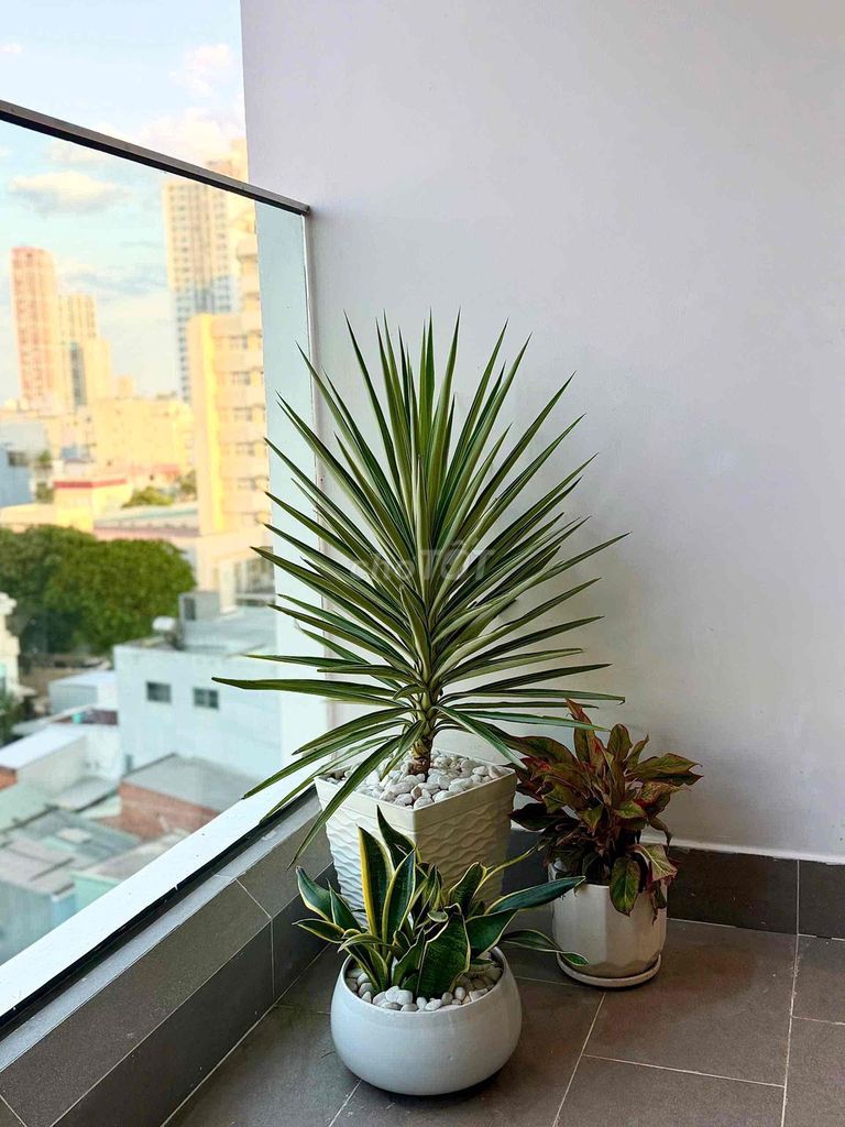 Brand-new furnished studio at Sun Ponte near the Han River — photo 7