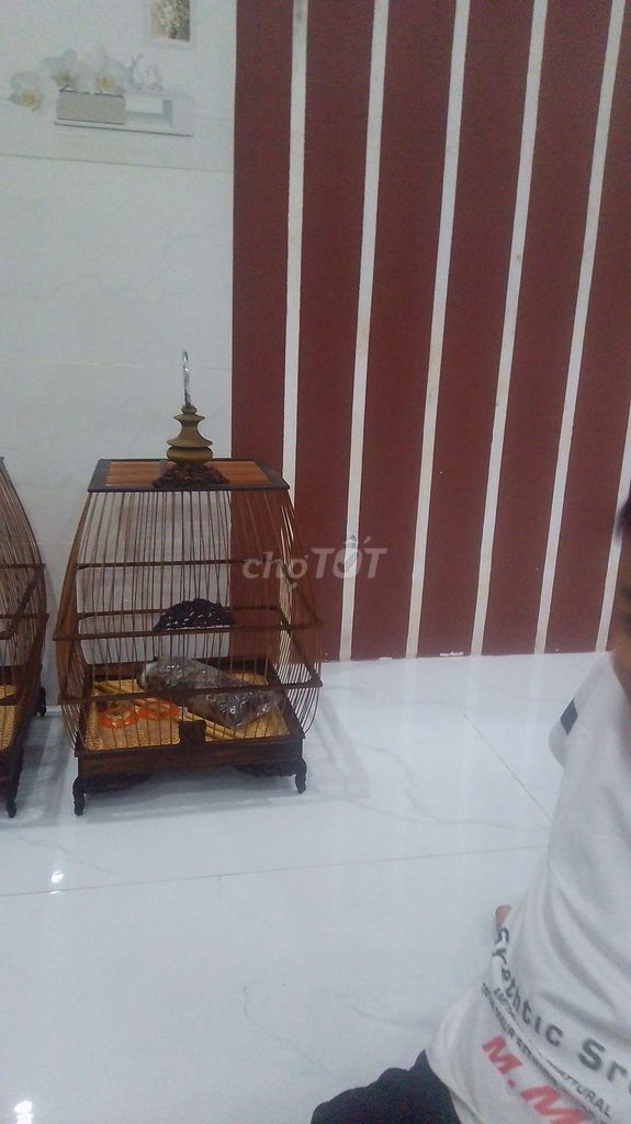 lồng sin chào mào mới. Mua bán Phụ kiện, Thức ăn, Dịch vụ tại Huyện Hòa Vang Đà Nẵng được đăng bởi Phát hình 1