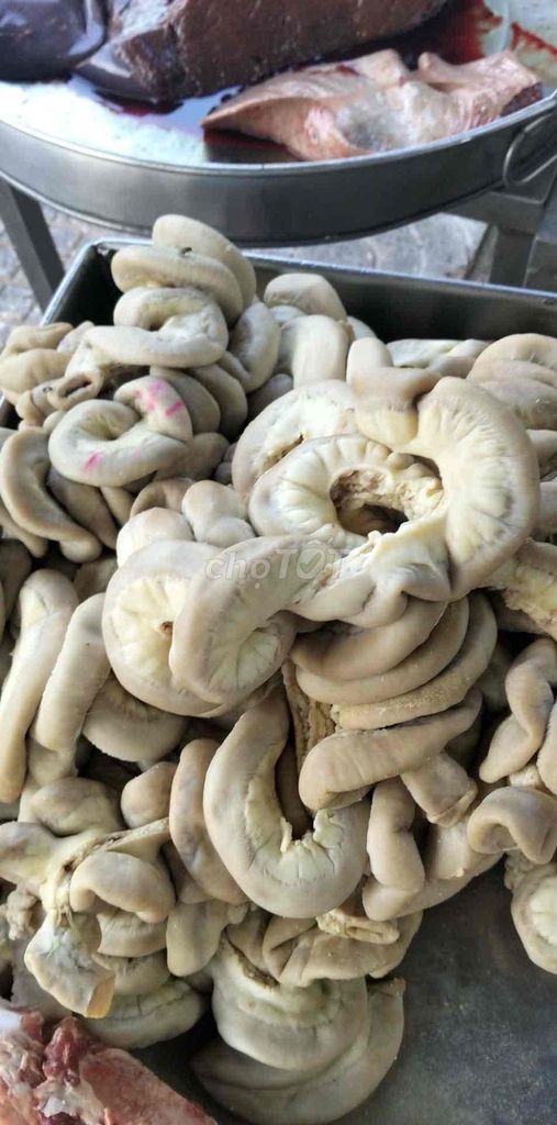 Lòng bò tươi quê. Mua bán Đồ ăn, thực phẩm và các loại khác tại Quận 10 Tp Hồ Chí Minh được đăng bởi Nguyen Xuan hình 1