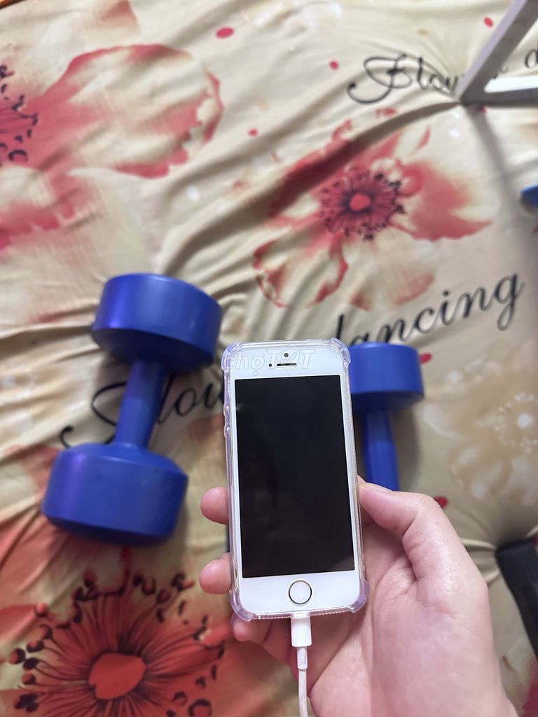 Apple iPhone 5S 16GB Vàng Quốc tế. Mua bán Điện thoại tại Quận 1 Tp Hồ Chí Minh được đăng bởi Trung hình 1