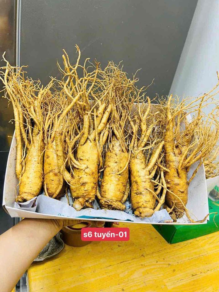 đẹp xuất sắc. Mua bán Đồ ăn, thực phẩm và các loại khác tại Quận Cẩm Lệ Đà Nẵng được đăng bởi Minh Khang hình 1