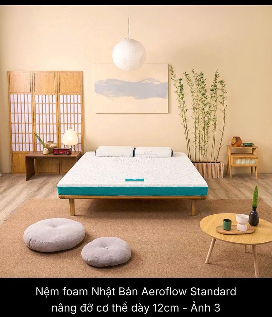 Thanh lý 2 Nệm Aeroflow Standard Foam 12cm_Vua Nệm. Mua bán Giường, chăn ga gối nệm tại Quận Đống Đa Hà Nội được đăng bởi Trà hình 1