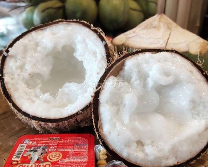 Dừa sáp Trà Vinh. Mua bán Đồ ăn, thực phẩm và các loại khác tại Quận 1 Tp Hồ Chí Minh được đăng bởi mít cute hình 4