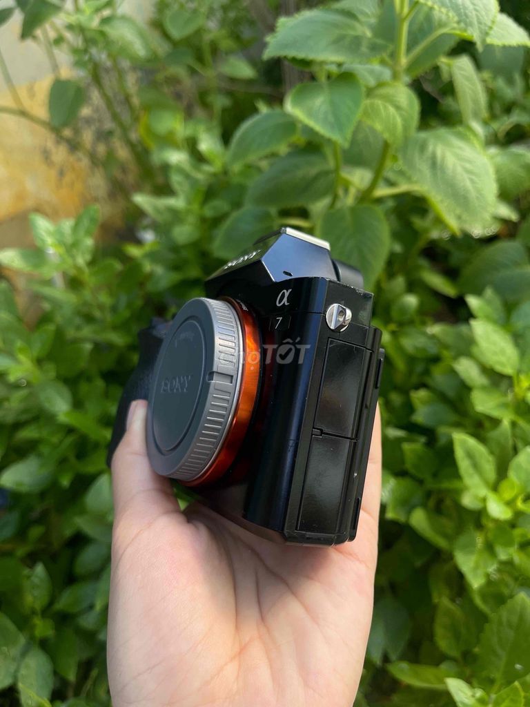 Máy ảnh Sony A71 Đen. Mua bán Máy ảnh, Máy quay tại Quận Liên Chiểu Đà Nẵng được đăng bởi Hồ Thị Cúc hình 1