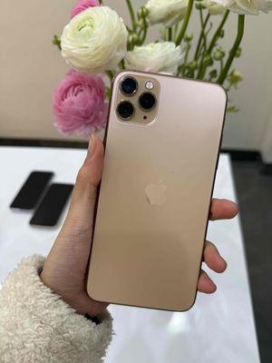 iPhone 11 Prm 256 Vàng