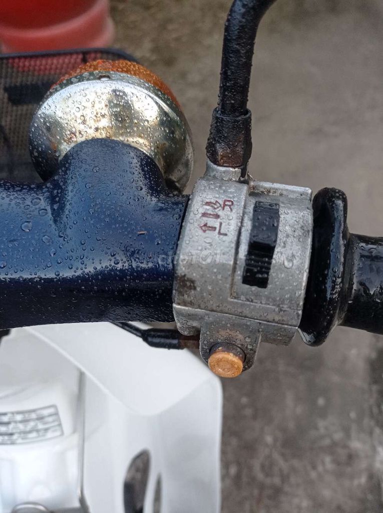 Cúp bs xanh vip. Mua bán Xe máy tại Thành phố Vĩnh Long Vĩnh Long được đăng bởi thái  hình 7