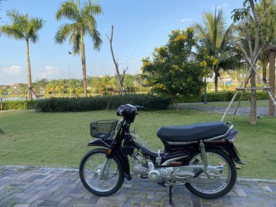 Honda Dream màu Tím máy 54