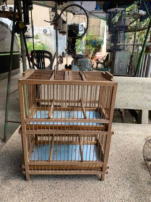 Chim sâu. Mua bán Chim tại Quận Bình Tân Tp Hồ Chí Minh được đăng bởi Tấn Lực
