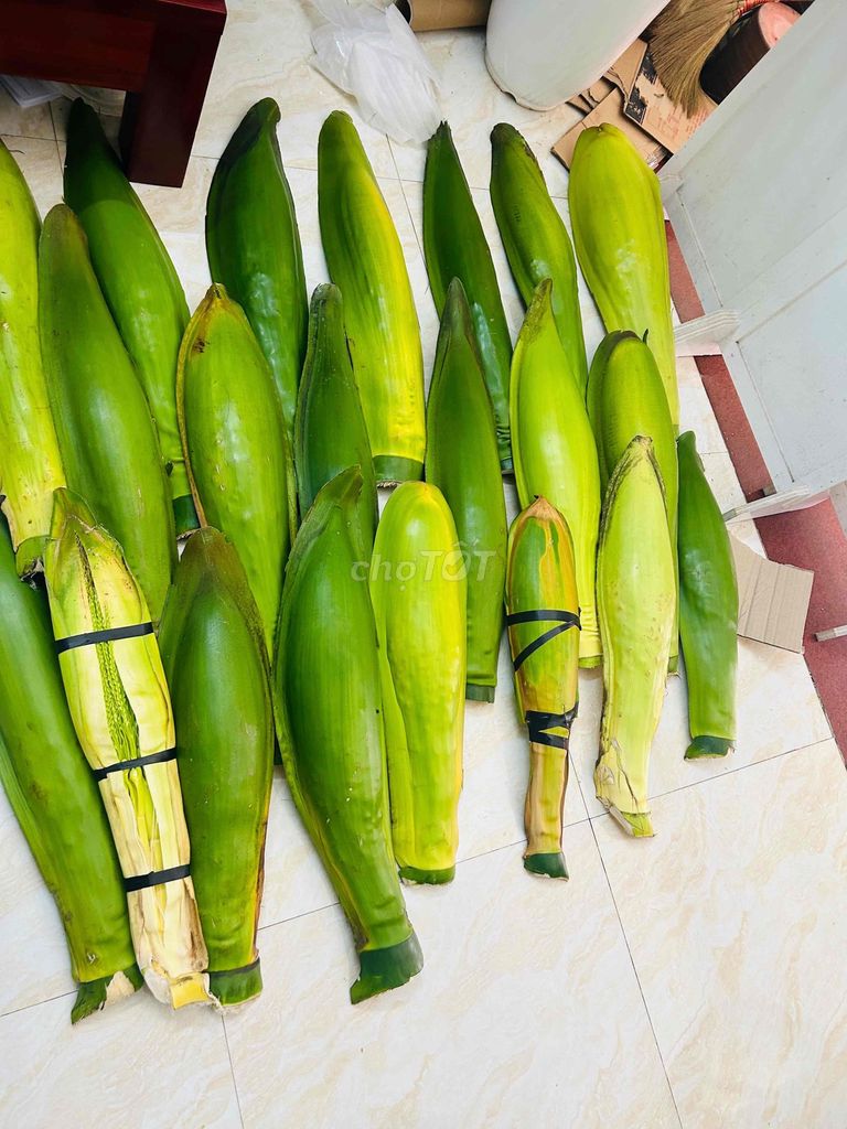 Hoa cau. Mua bán Cây cảnh, đồ trang trí tại Huyện Thanh Trì Hà Nội được đăng bởi Thuỷ hình 1