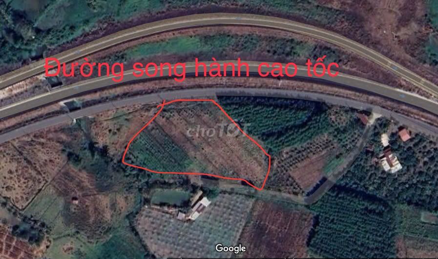 6971 m2 Đất giáp khu dân cư - sân bay Quốc tế Long Thành. Mua bán đất tại Huyện Thống Nhất Đồng Nai được đăng bởi Huỳnh Thanh Bửu hình 2