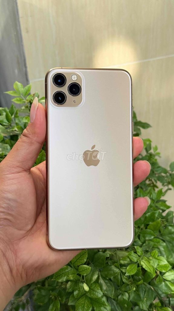 Apple iPhone 11 Pro Max 64GB Vàng Gold. Mua bán Điện thoại tại Quận Ninh Kiều Cần Thơ được đăng bởi Minh  hình 1