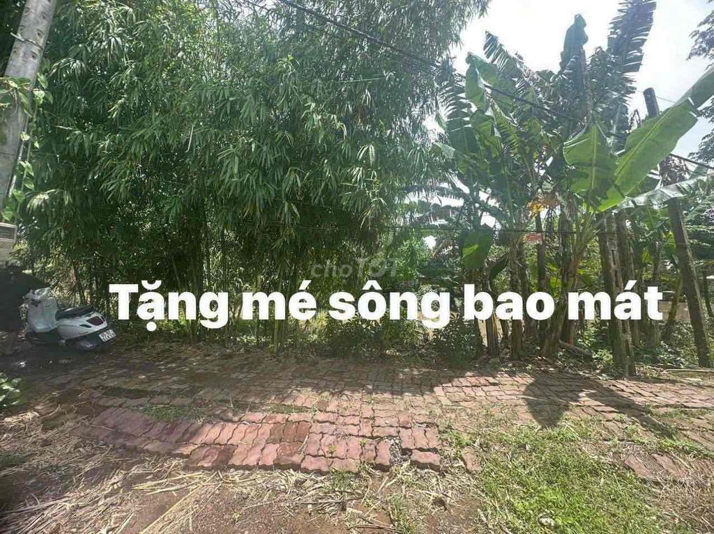 CẦN TIỀN BÁN GẤP