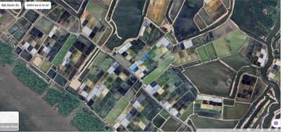 Bán đất mặt tiền Đê Tiền Giang, Cần Giờ. DT 1185m2. Mua bán đất tại Huyện Cần Giờ Tp Hồ Chí Minh được đăng bởi Thanh 