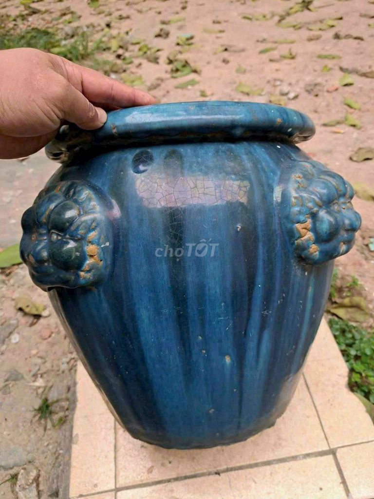 Chậu trồng cây Gốm sứ Xanh dương. Mua bán Cây cảnh, đồ trang trí tại Thành phố Thủ Dầu Một Bình Dương được đăng bởi tống kỳ đồ cũ hình 1