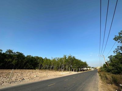 Đất trống cho thuê. Cho thuê đất tại Thị xã Bến Cát Bình Dương được đăng bởi Nam Ngo Hoang