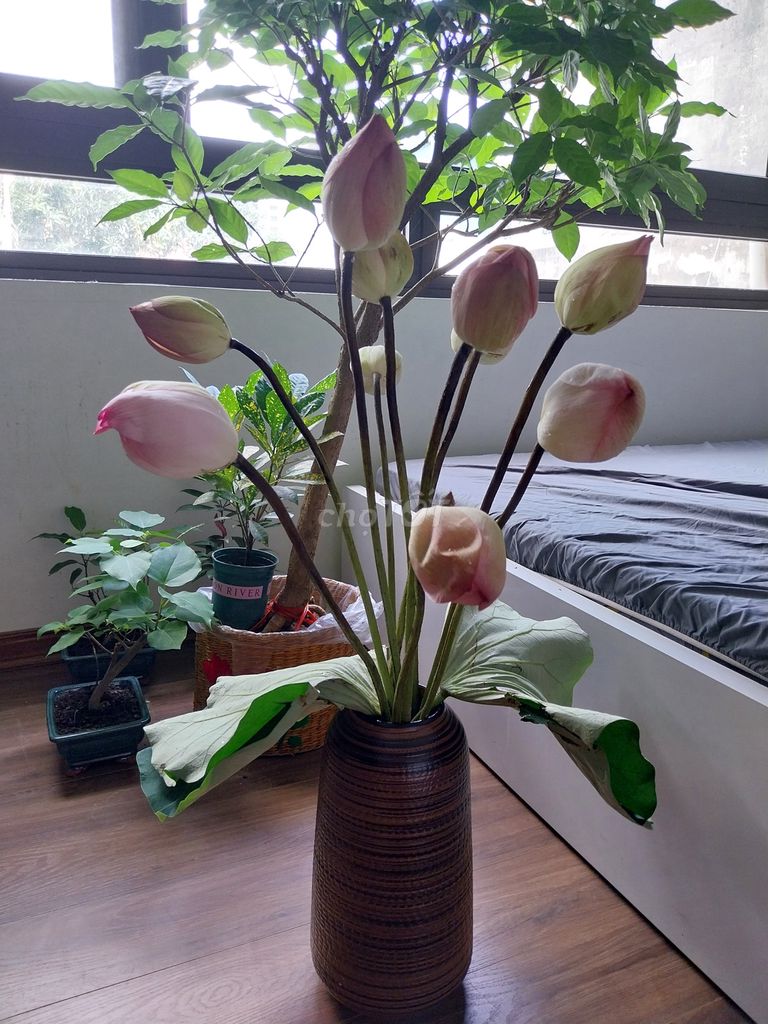 Combo 2 Lọ hoa Gốm sứ Nâu/ Trắng 20/35cm. Mua bán Cây cảnh, đồ trang trí tại Quận Ba Đình Hà Nội được đăng bởi Trà My hình 1