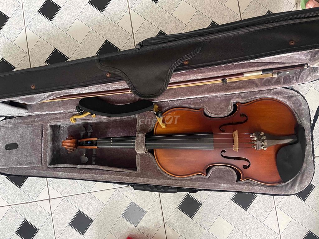 Đàn violon