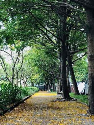 Cho nữ thuê phòng, đầy đủ nội thất