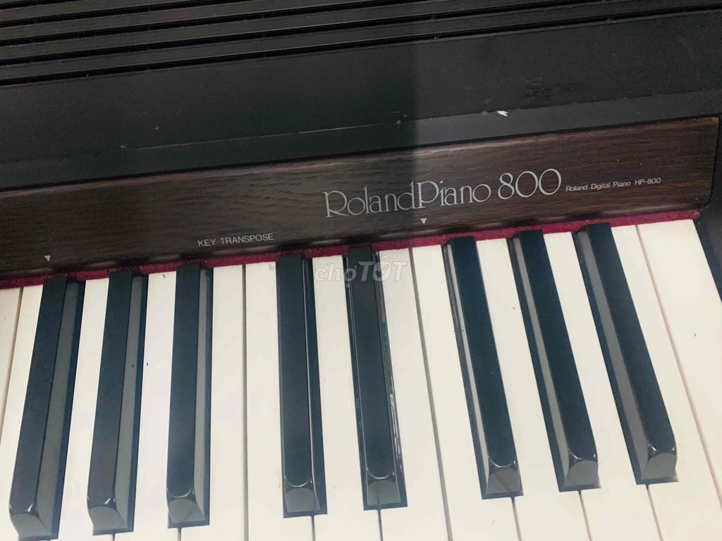 piano roland 800