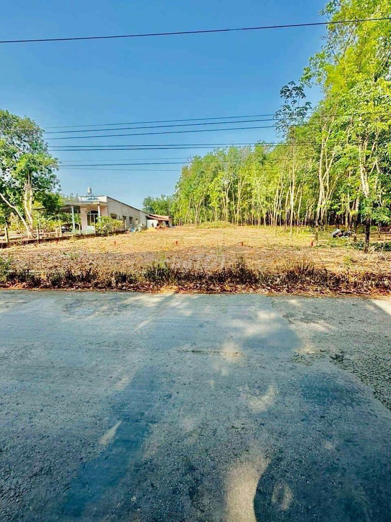 Gia đình về quê cần bán gấp 460m2 đất ngay An Bình, Phú giáo gần DT741