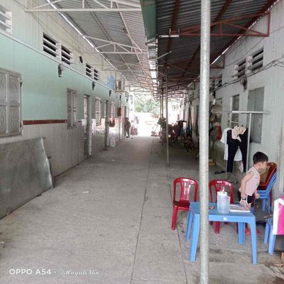 Bán Dãy Trọ Củ Chi 4 Phòng 850TR , Thu Nhập 7TR/Tháng, Tân Thông Hội