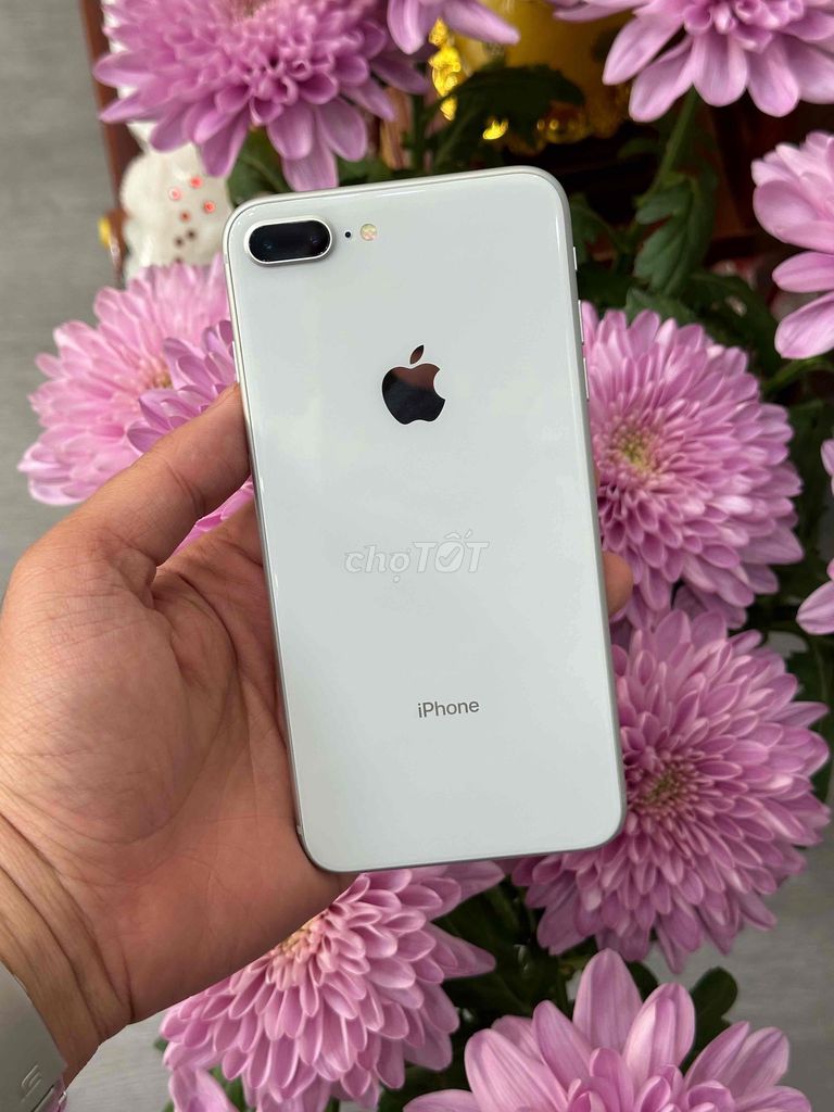 8 Plus 64GB Trắng Qte pin 94 Zin đẹp 99 Vt nhạy. Mua bán Điện thoại tại Quận Ninh Kiều Cần Thơ được đăng bởi Quý Mobile Cần thơ hình 1