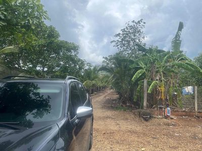 Vườn trồng cây 6000m2 bao gồm nhà ở 100m2 tại Ngãi Giao, Châu Đức BRVT. Cho thuê nhà ở tại Huyện Châu Đức Bà Rịa - Vũng Tàu được đăng bởi Thêm Ngô