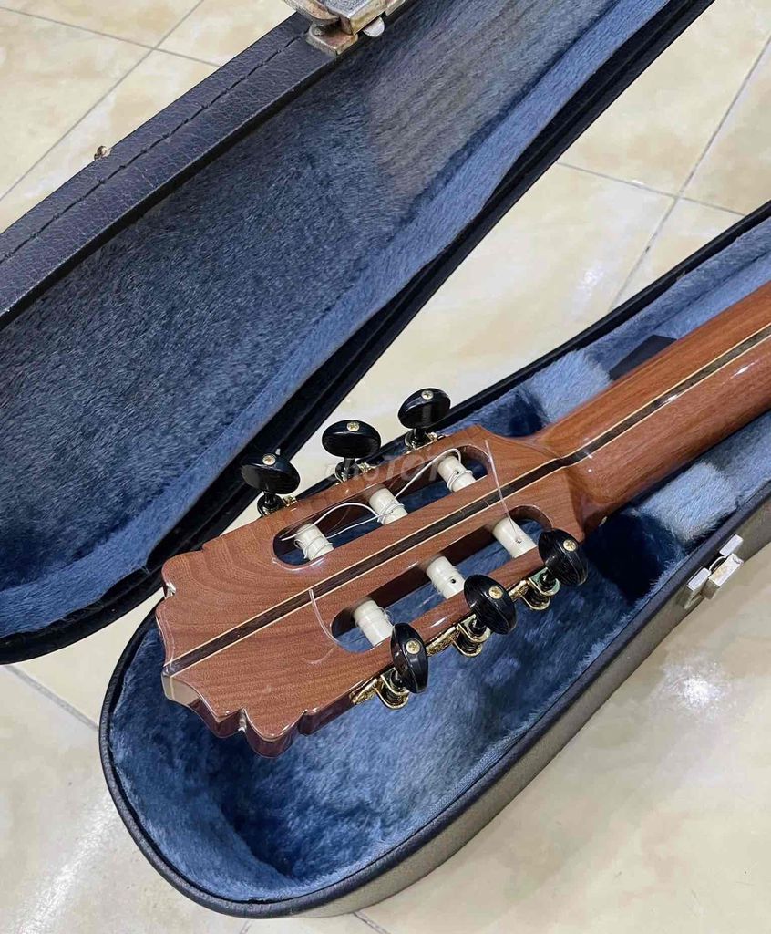 Guitar Classic gỗ ziricote