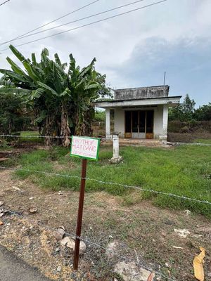 Cho thuê đất hơn 900m2 ở Tân Uyên-Bình Dương. Cho thuê đất tại Thị xã Tân Uyên Bình Dương được đăng bởi Bảo Như