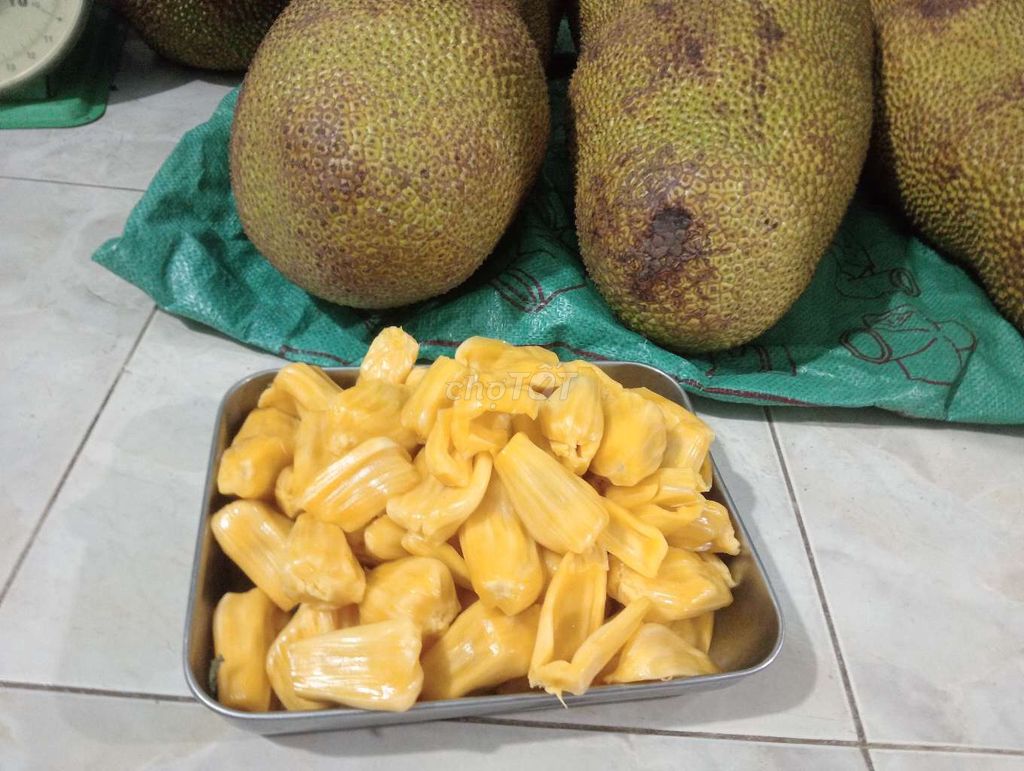 Mít thước, Mít nghệ xưa. Mua bán Đồ ăn, thực phẩm và các loại khác tại Thành phố Thủ Đức Tp Hồ Chí Minh được đăng bởi MINH KHÔI PHAM hình 1