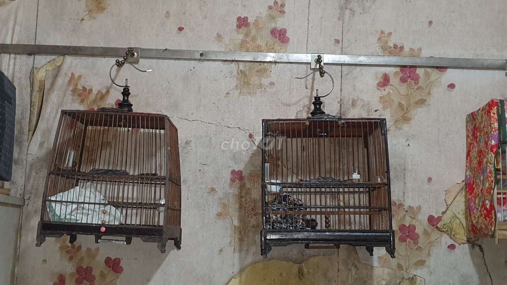 Lồng chim Gỗ Nâu 2 cái. Mua bán Phụ kiện, Thức ăn, Dịch vụ tại Quận Long Biên Hà Nội được đăng bởi NAM KHÁNH hình 1