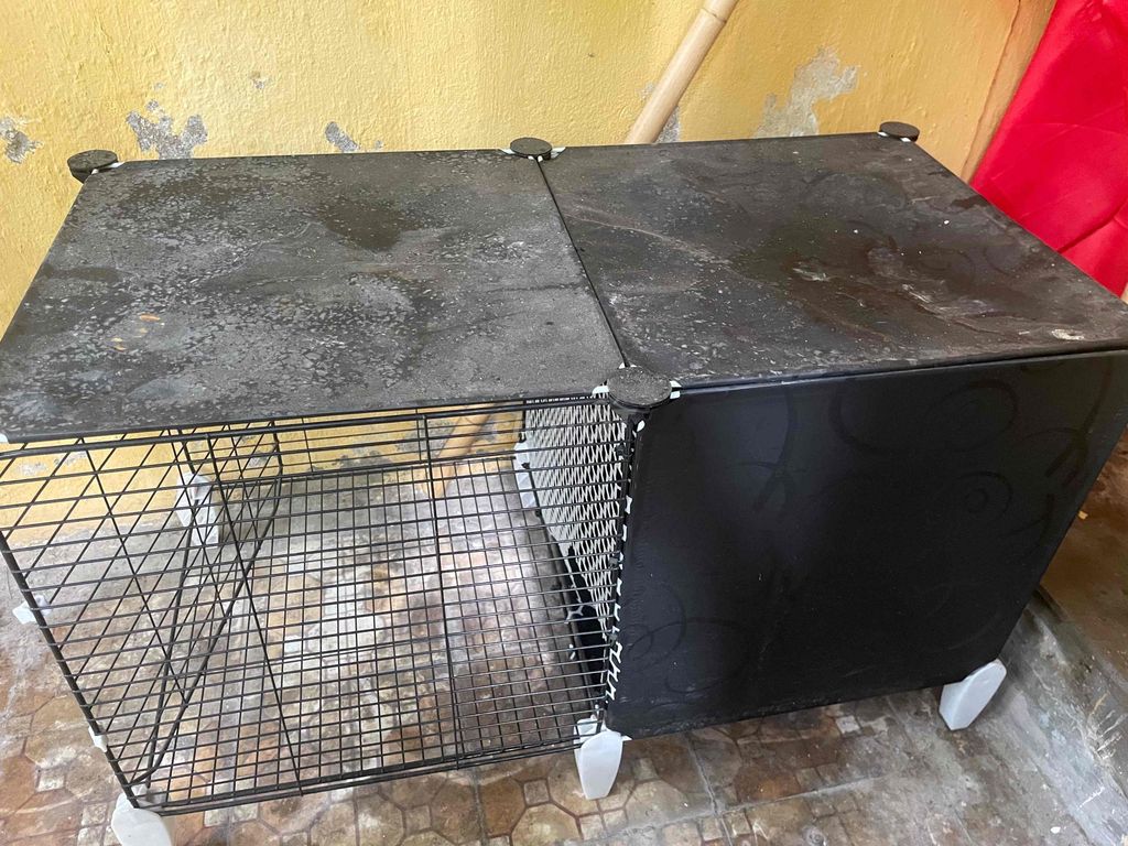 chuồng chó mèo. Mua bán Phụ kiện, Thức ăn, Dịch vụ tại Quận Hai Bà Trưng Hà Nội được đăng bởi Tuong Nguyen Minh hình 1