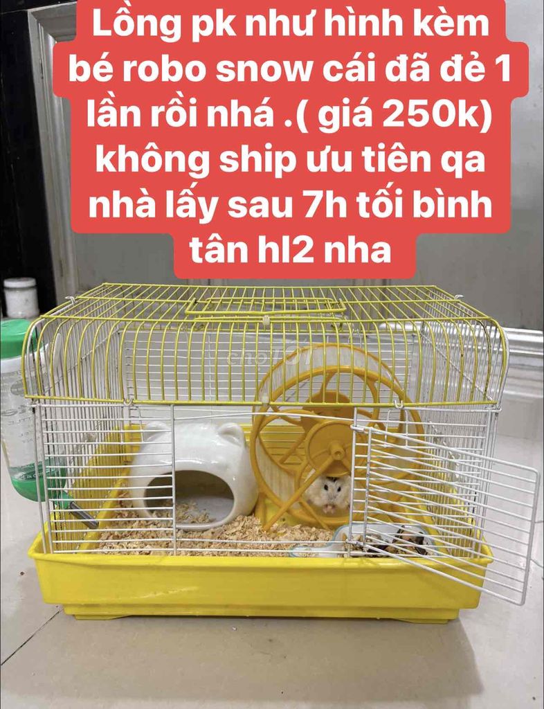 lồng chuồng chuột hamster robo