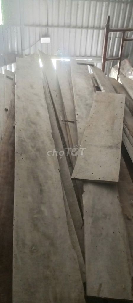 Ván coppha 25, 20 (20k/m). Mua bán Đồ chuyên dụng, Giống nuôi trồng tại Thành phố Cao Lãnh Đồng Tháp được đăng bởi Võ Hiếu hình 1