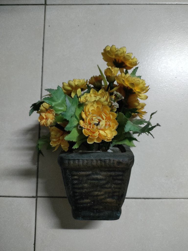 Chậu hoa cúc giả để bàn. Mua bán Cây cảnh, đồ trang trí tại Quận 7 Tp Hồ Chí Minh được đăng bởi Tuấn  hình 1