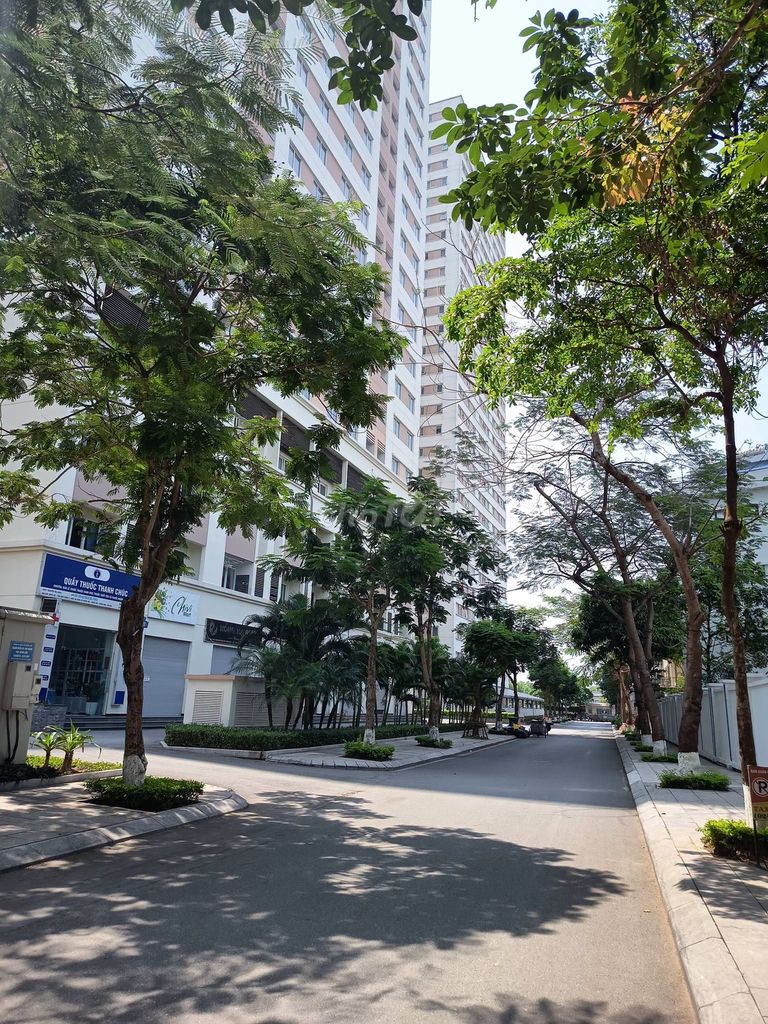 Bán 2 Biệt thự 145m2 Đông Hội, Cạnh Vinhomes Cổ Loa, Chênh 1 tỷ - ảnh 5