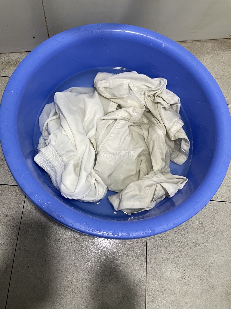 Pass cây lau sàn + thau xanh như hình