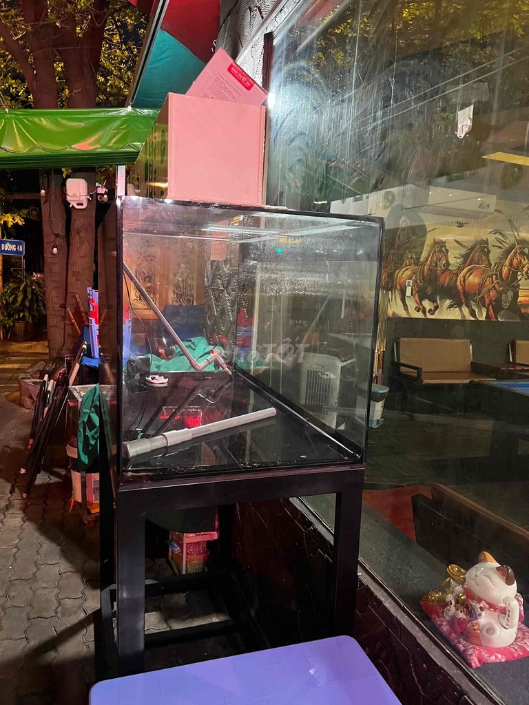 Bể cá cảnh Kính 1.2m x 60cm. Mua bán Phụ kiện, Thức ăn, Dịch vụ tại Quận 7 Tp Hồ Chí Minh được đăng bởi Nguyễn Hiệp hình 1
