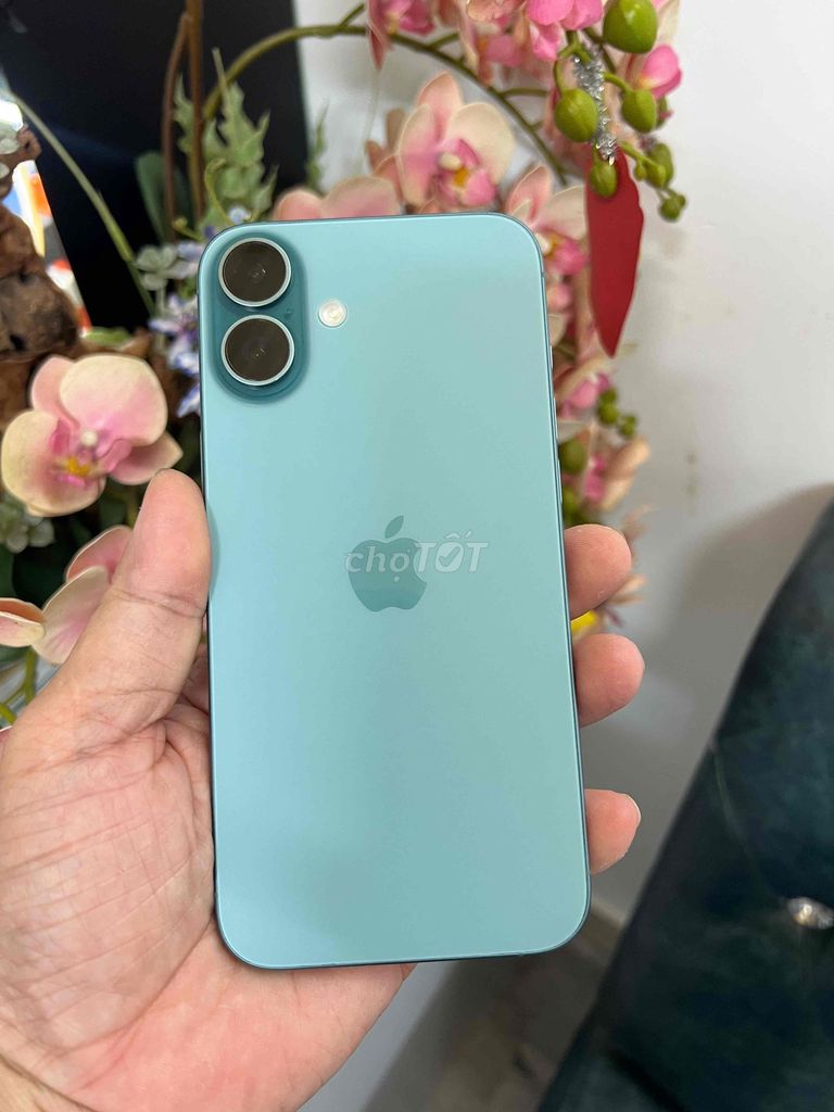Apple iPhone 16 Plus Xanh Két Quốc tế. Mua bán Điện thoại tại Thành phố Buôn Ma Thuột Đắk Lắk được đăng bởi Tèo Điện Thoại  hình 1