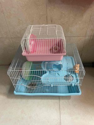 thanh lý lồng và chuột. Mua bán Thú cưng khác tại Quận 11 Tp Hồ Chí Minh được đăng bởi hung