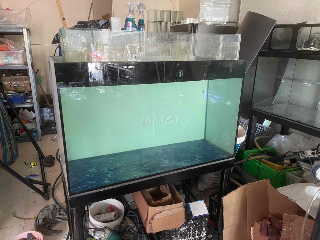 Hồ cá kính 1m x 50cm x 60cm 99%. Mua bán Phụ kiện, Thức ăn, Dịch vụ tại Thành phố Rạch Giá Kiên Giang được đăng bởi Khuong Duy Nguyen hình 1