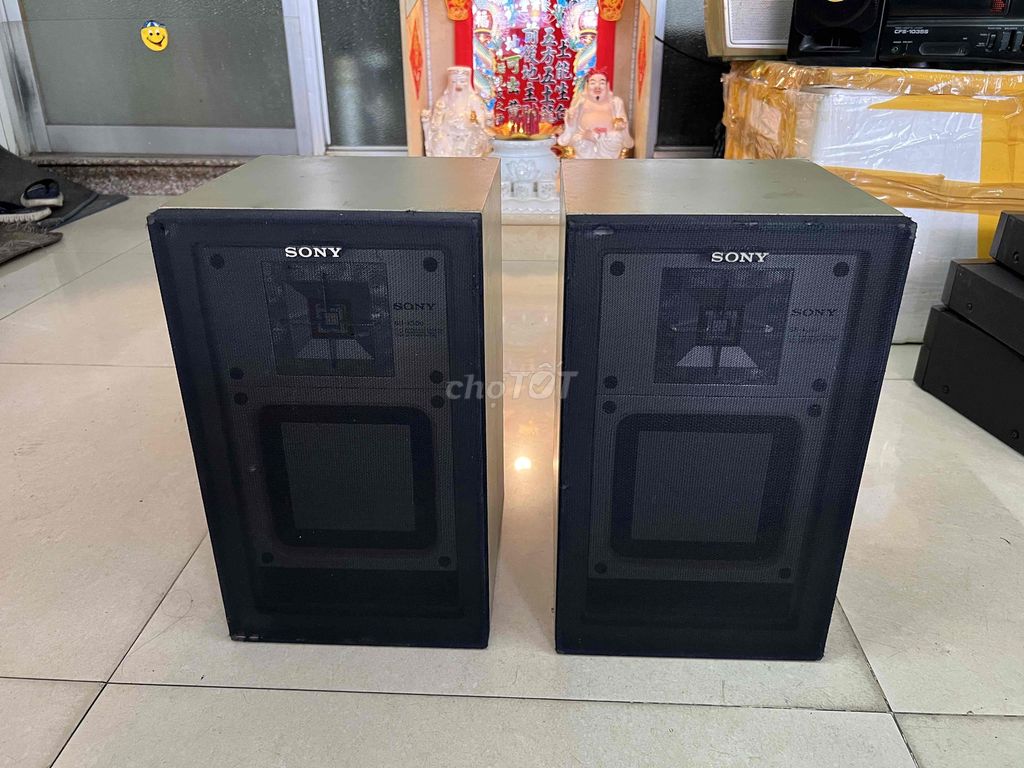 Loa Sony SS-X300. Mua bán Tivi, Âm thanh tại Quận 11 Tp Hồ Chí Minh được đăng bởi CỬA HÀNG THÀNH ĐƯỢC hình 1