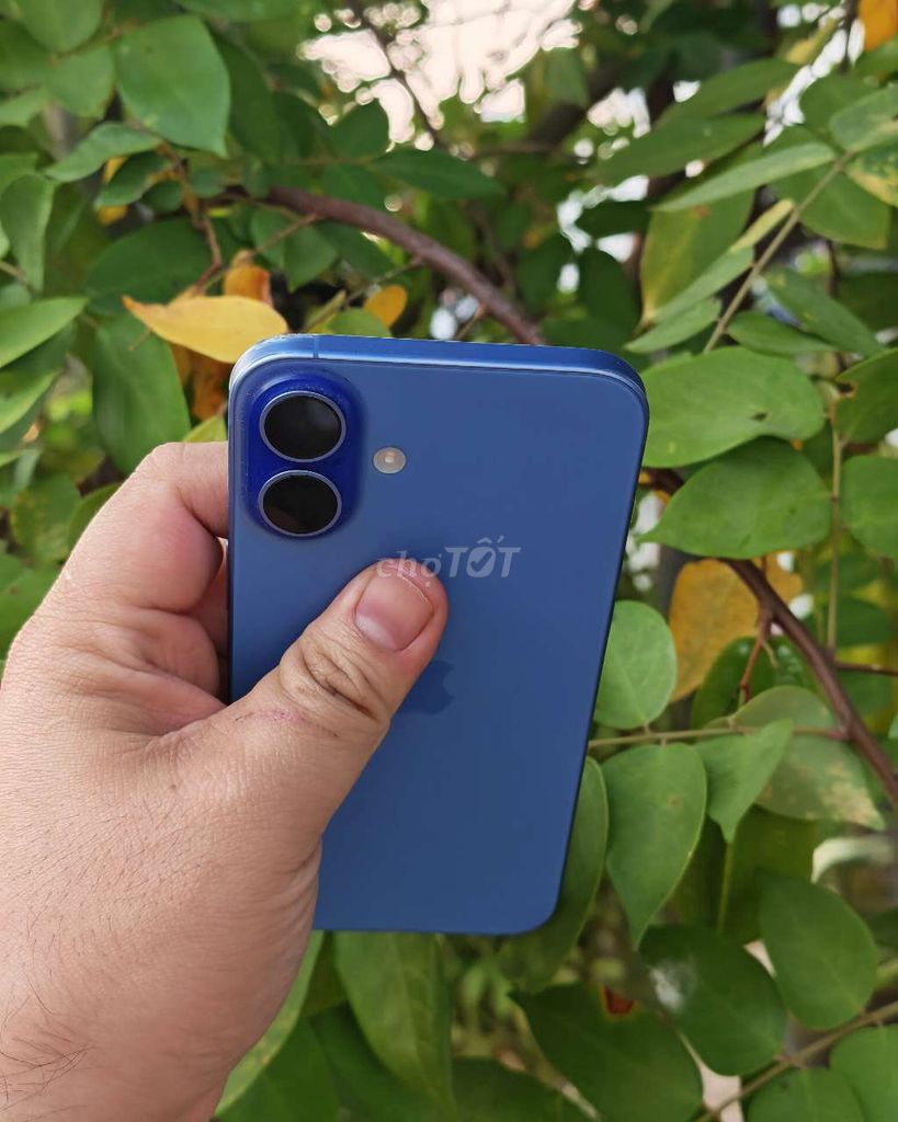 Apple iPhone 16 Plus 128GB Xanh. Mua bán Điện thoại tại Thành phố Châu Đốc An Giang được đăng bởi Thái Duy hình 1