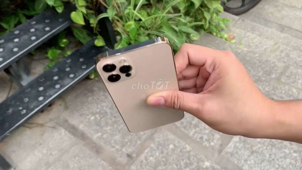 Apple iPhone 12 Pro 256GB Vàng Nhật Đã sử dụng. Mua bán Điện thoại tại Quận Bình Tân Tp Hồ Chí Minh được đăng bởi Pun hình 1