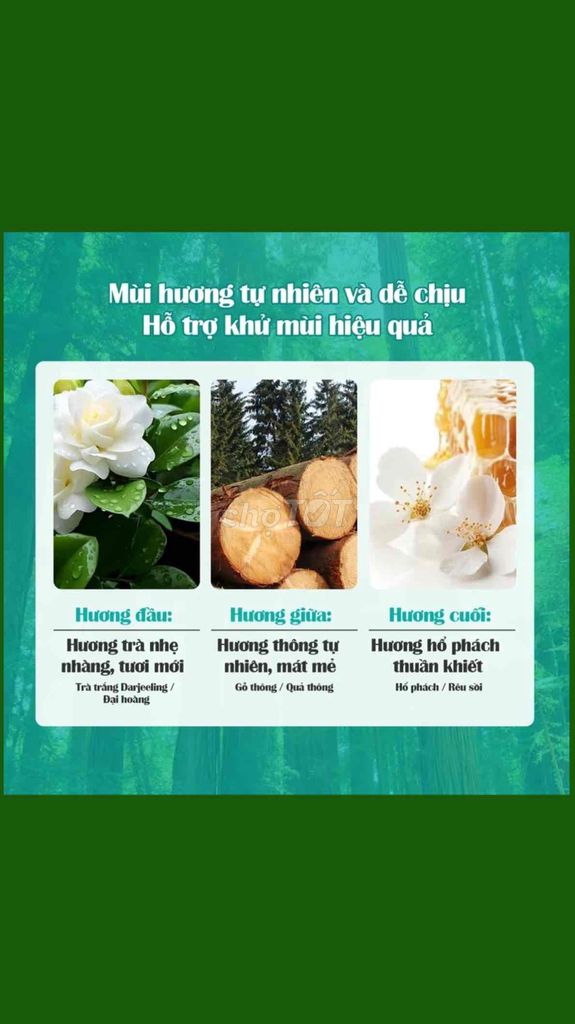 Nước tẩy bồn cầu Hương Hoa Gỗ