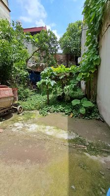 Bán đất Phúc Lợi 52m² dưới 5 tỷ, gần ô tô, chợ, trường học