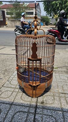 Tìm mi khứu nghe hót ae có lh. Mua bán Chim tại Quận 12 Tp Hồ Chí Minh được đăng bởi Cỏ Ba Lá