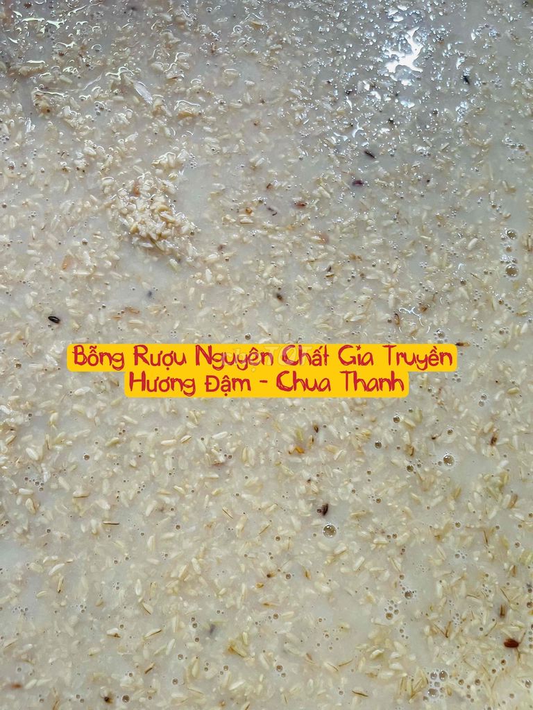 Nước bỗng rượu 1.5L Nguyên chất Thái Bình. Mua bán Đồ ăn, thực phẩm và các loại khác tại Thành phố Thái Bình Thái Bình được đăng bởi Thanh Tùng hình 1