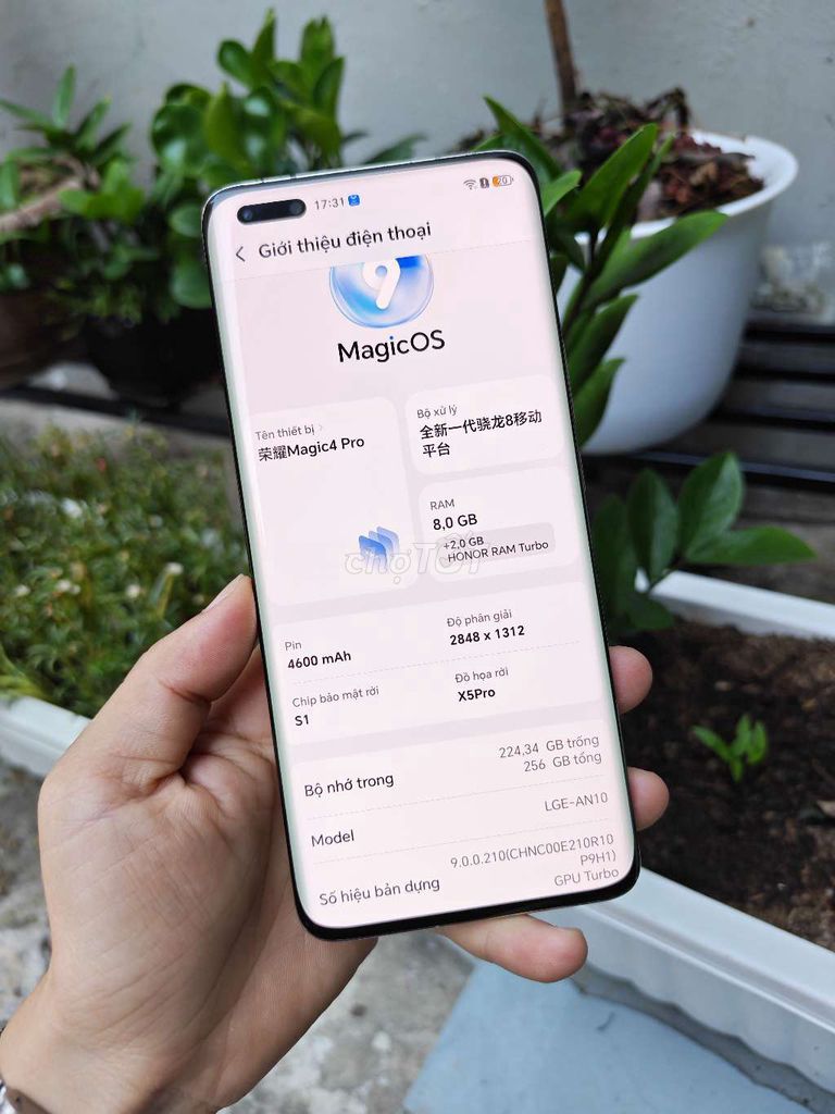 Honor Magic 4 Pro 256GB Nâu. Mua bán Điện thoại tại Quận Gò Vấp Tp Hồ Chí Minh được đăng bởi Nhi hình 1