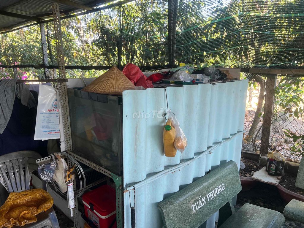 Hồ nuôi cá 1m8 Kính, Tôn. Mua bán Phụ kiện, Thức ăn, Dịch vụ tại Huyện Cần Giuộc Long An được đăng bởi trần tấn phương hình 1